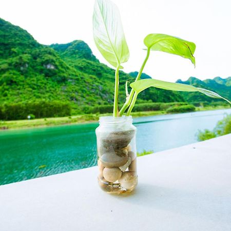 Phong Nha A Little Leaf Homestay Zewnętrze zdjęcie