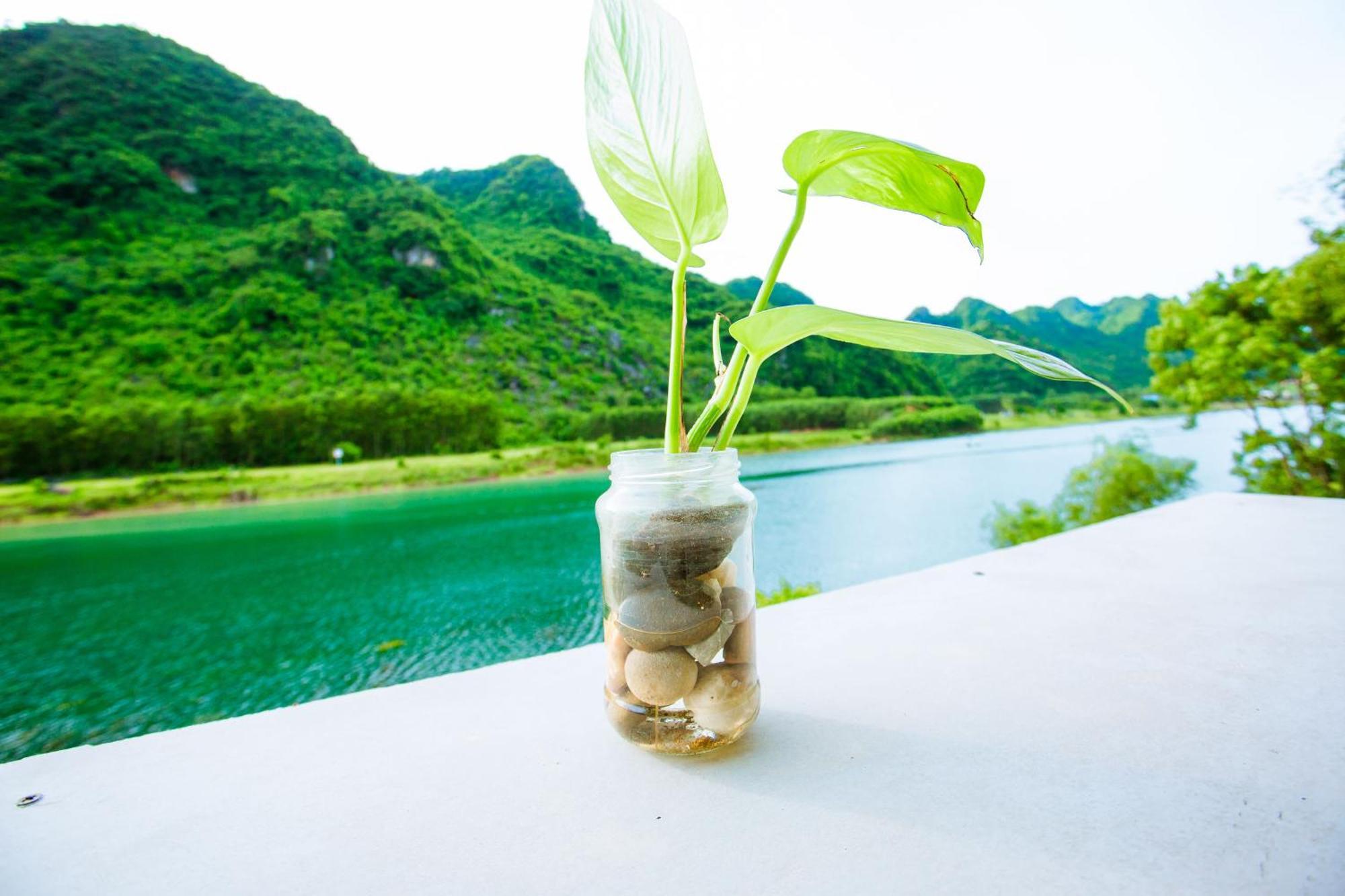 Phong Nha A Little Leaf Homestay Zewnętrze zdjęcie