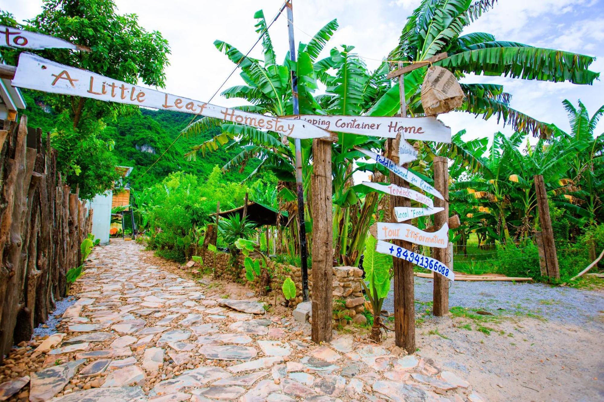Phong Nha A Little Leaf Homestay Zewnętrze zdjęcie